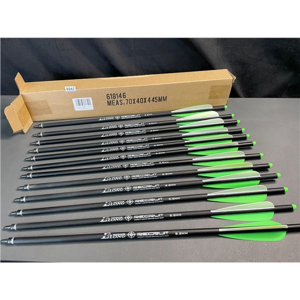 Lot of 1 12-Pack of 20-inch Carbon Crossbow Bolts - Brand New
