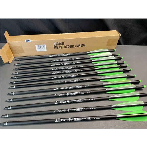 Lot of 1 12-Pack of 20-inch Carbon Crossbow Bolts - Brand New