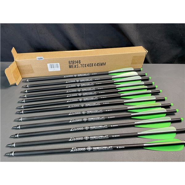 Lot of 1 12-Pack of 20-inch Carbon Crossbow Bolts - Brand New