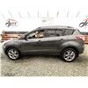 Image 23 : F5 --  2016 FORD ESCAPE GREY 150842 KMS