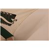 Image 3 : Saskatchewan Roughriders Umbrella - Stains