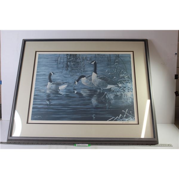 *Canada Geese Framed Print (33 12" x 27 1/2")