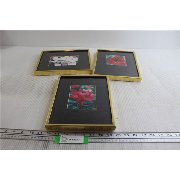 (3) Flower Prints - 8" x 10"