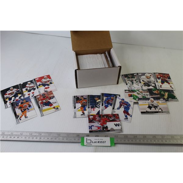 Hockey Cards - 2020-21 UD Extended Base