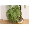 Image 3 : * Faux Fern Floor Plant - 41" Tall x 10"Wide