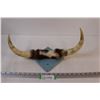 Image 1 : Bull Horns Mounted