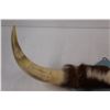 Image 2 : Bull Horns Mounted