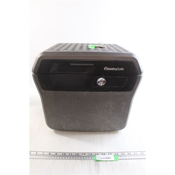 *Fireproof/ Waterproof Sentry Safe Model 40100 with Key