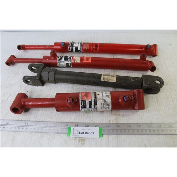 (4) Princess Auto Sure-Lift Cylinders