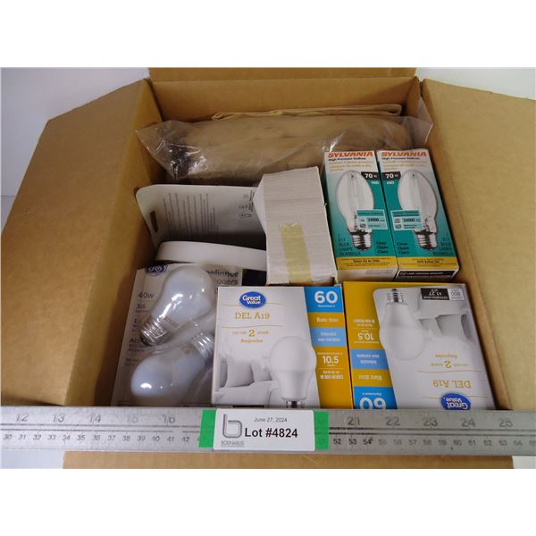 Box full of Assorted Light Bulbs and Vacuum Cleaner Bags