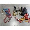 Image 1 : Collection of Harnesses (at least 4)