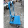 Image 2 : CHARIOT 22"