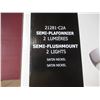Image 2 : SEMI-PLAFONIER 2 LUMIÈRES BELDI #21281-CA