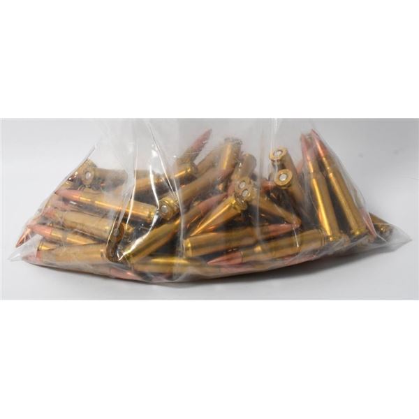 76 Rounds Of Mixed .308 Win Ammunition