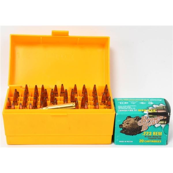69 Rounds Of .223 Rem Ammunition