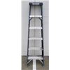 Image 1 : Maximum Fibreglass Ladder