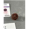 Image 2 : Natural 5 Face Rudraksha w/ C.O.A.