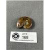 Image 2 : Ammonite Fossil Specimen. Retail Price $180.00