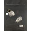 Image 1 : 3D Grid Clear Quartz Pyrite. Retail Price $250.00