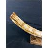 Image 2 : Restored Wooly Mammoth Ivory Tusk.24" with Stand! PAC-MAIL SHIPPING ONLY
