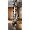 Image 3 : SET OF TRUCK CHAINS, ROPE AND 5GAL PAIL OF LIGHT TRUCK CHAINS