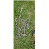 Image 3 : 12' 3/8" CHAIN