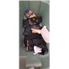 Image 2 : LARGE TOTE WITH ASSORTED GLOVES
