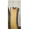 Image 3 : BIRCH LE WOOD SLAB