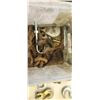 Image 8 : BUCKET WITH BUMPER HOOKS, ASSORTED HOOKS, AND CLEVIS PINS
