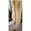 Image 3 : BIRCH AIR DRIED LIVE EGDE SLAB 14-16"W X 103" LX 2 3/4" THICK