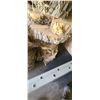 Image 1 : 4- ASSORTED BIRCH LIVE EDGE BISCUIT SLABS 18-20" ROUND 2 3/4 THICK