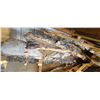 Image 3 : 8- BIRCH AIR DRIED LIVE EDGE SLABS 8"- 12" W  X  2-4 FT L  X  1" THICK