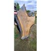 Image 8 : BIRCH AIR DRIED LIVE EDGE SLAB  20 - 30"  W  X  67 " L  X 2 3/4 " THICK MATCHES LOT 246-250