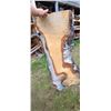 Image 5 : BIRCH AIR DRIED LIVE EDGE SLAB  21 - 31"  W  X  66 " L  X 2 3/4 " THICK MATCHES LOT 246-250