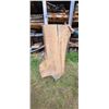 Image 1 : BIRCH AIR DRIED LIVE EDGE SLAB  22 - 30"  W  X  66 " L  X 2 3/4 " THICK MATCHES LOT 246-250