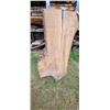 Image 2 : BIRCH AIR DRIED LIVE EDGE SLAB  22 - 30"  W  X  66 " L  X 2 3/4 " THICK MATCHES LOT 246-250