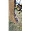 Image 8 : BIRCH AIR DRIED LIVE EDGE SLAB  22 - 30"  W  X  66 " L  X 2 3/4 " THICK MATCHES LOT 246-250