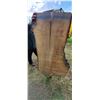 Image 9 : BIRCH AIR DRIED LIVE EDGE SLAB  22 - 30"  W  X  66 " L  X 2 3/4 " THICK MATCHES LOT 246-250