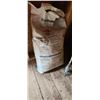 Image 1 : FULL BAG OF SIFTO SIDE WALK SALT