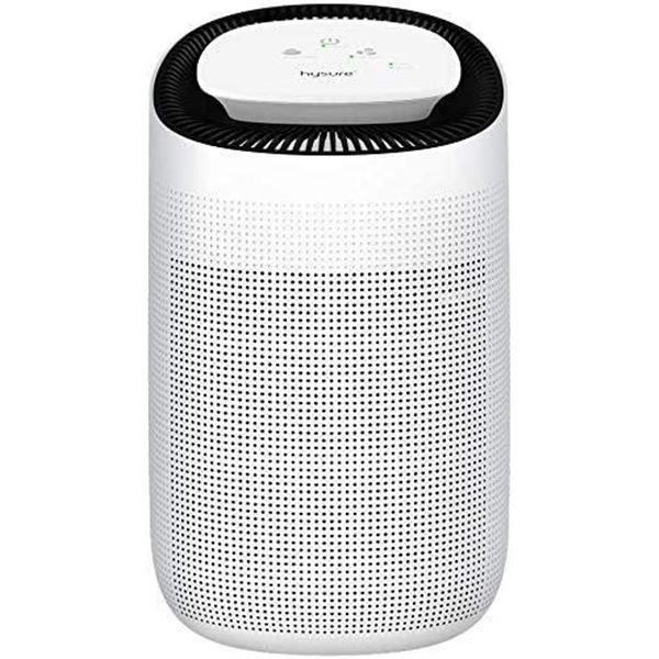 Hysure Home Dehumidifiers & Air Purifier, 1000ml Electric Dehumidifier, HEPA Portable Air Purifier f