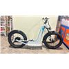 Image 2 : ALPINE RIDING A-RIDE PACIFIC COASTER FULL SUSPENSION ELECTRIC SIZE 24" FAT TIRE SCOOTER,