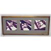 Image 1 : Trio Koala Photographic Artwork, Framed 30" x 12" (frame size)