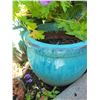 Image 3 : Turquoise Planters A