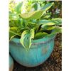 Image 5 : Turquoise Planters A
