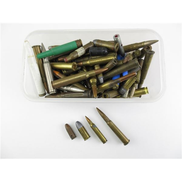 ASSORTED DUMMY RNDS LOT