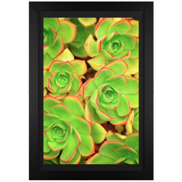 Jongas "Summertime" Limited Edition Giclee on Canvas