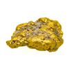 Image 2 : 2.60 Gram Caborca Sonora, Mexico Gold Nugget