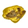 Image 2 : 1.06 Gram Sonoyta, Mexico Gold Nugget