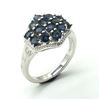 Image 1 : BZ1821-160 SILVER BLUE SAPPHIRE(3.6CT) RING