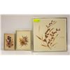 Image 1 : 3 J. WILLIAMS FRAMED PICTURES